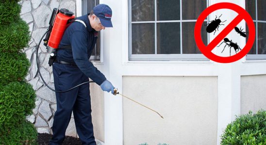 Yusufeli Tahtakurusu İlaçlama böcek ilaçlama ve haşere kontrolü — ilaclama-tr.com